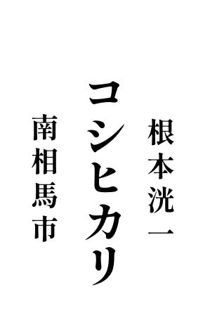 コシヒカリ 根本 洸一